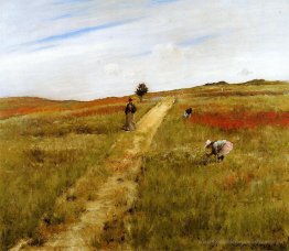 Shinnecock Hills (Shinnecock Hills Herbst)