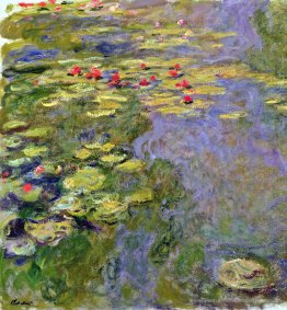 Wasserlilien