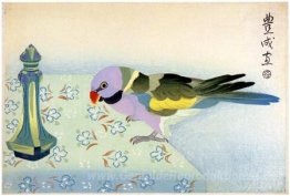 Parakeet auf Tabelle
