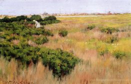 Landschaft in der Nähe von Coney Island