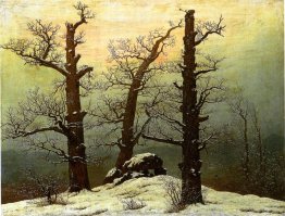 Hünengrab im Schnee