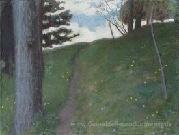 Wald. Die Straße ...