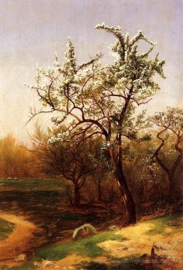 Birnen-Blüten