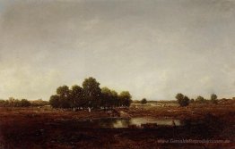 Sumpfland
