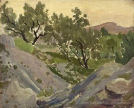 Oliven in Spanien