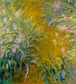 Weg durch die Iris 01