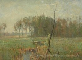Sommer-Nebel