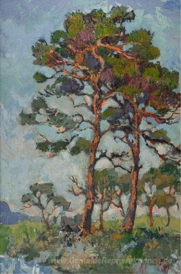 Firs mit roten Stämmen, Kenilworth