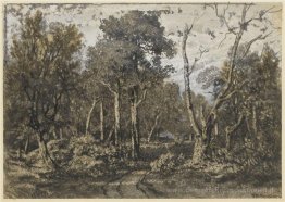 Die Eiche stürzte in den Wald von Fontainebleau