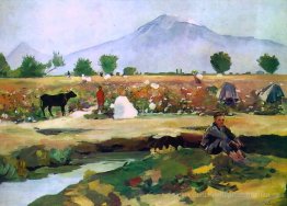 Kommissionierung Baumwolle im Tal Ararat