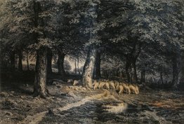 Herde von Schafen in den Wald