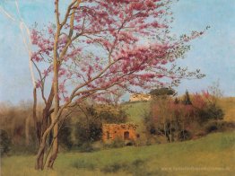 Landschaft: Blühende rote Mandel (Studie)