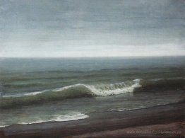 Meer