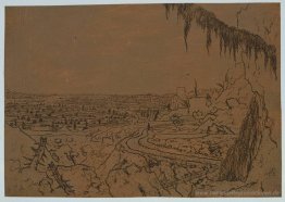 Landschaft mit überhängenden Fichten