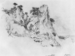 Pines auf den Klippen. Alupka