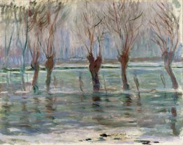 Flood Waters