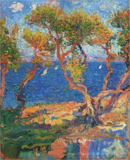 Olivenbäume am Meer