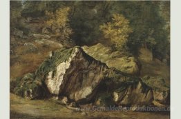 Studium der Felsen