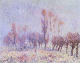 Weiden im Nebel