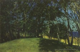 Hain an der Küste. Sillamyagi