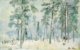 Wald in den Frost