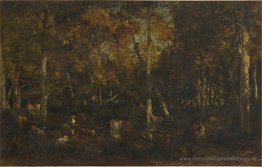 Im Inneren des Waldes Hain am Vieux Dormoir du Bas-Bréau (Wald v