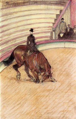 Am Zirkus Dressage