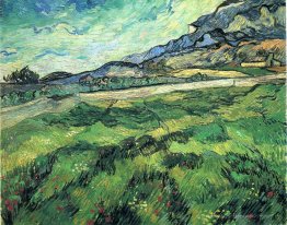 The Green Weizenfeld hinter dem Asyl