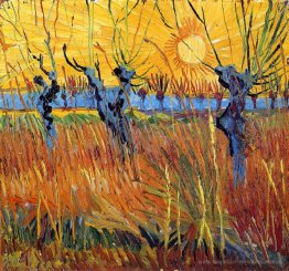 Pollard-Weiden und Sonne-