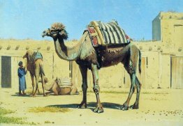 Camel im Hof ​​der Karawanserei