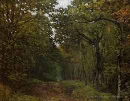 Kastanienallee in der Nähe von La Celle Saint Cloud