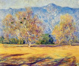 Die Platanen, Pasadena