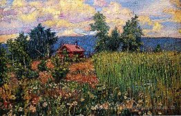 Landschaft mit einem Pink House