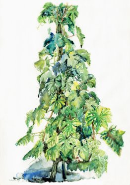 Weinstock im Frühjahr - Aquarell in der Schweiz