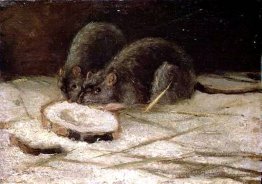 Zwei Ratten
