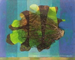 Seaweed Collage
