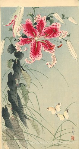 Lily und Schmetterlinge