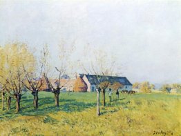Farm zu Höllenkaff