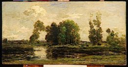 Der Teich