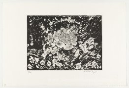Der Ball of Fire (La boule de feu) von Hayterophilies 1986