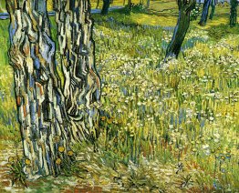 Baum-Stämme im Gras