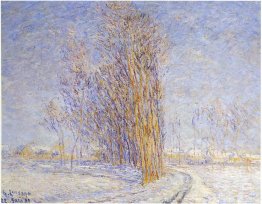 Landschaft im Schnee