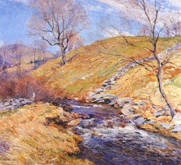 Brook März