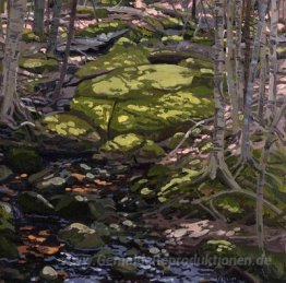 Licht in Brook