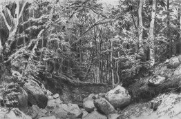 Auf dem Berg in der Nähe von Castel Alushta