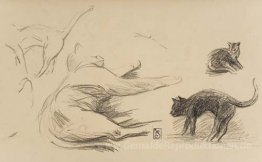 Studie der Katzen