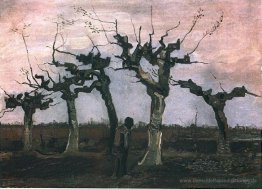 Landschaft mit Pollard-Weiden