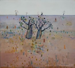 Boab Bäumen, Kimberley