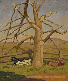 Sonnig Morgen: Kühe an Lanyon