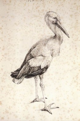 Die Stork